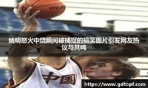 db电竞官方网站