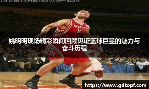 db电竞官网