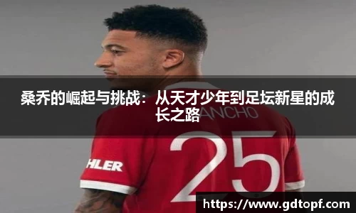 db电竞官网